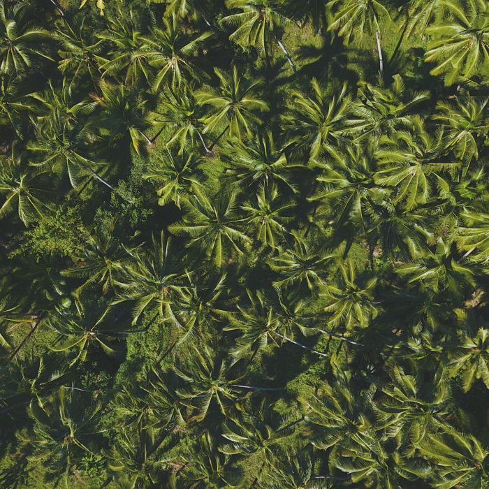 pexels-chevanon-1108115
